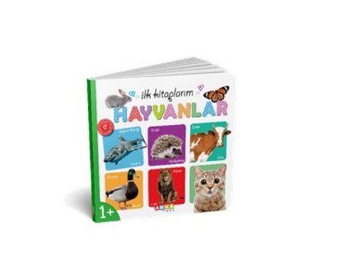 Hayvanlar - İlk Kitaplarım 3+Yaş