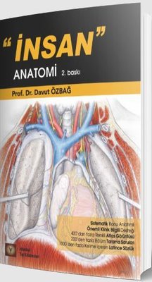İnsan Anatomi