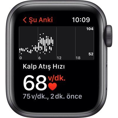 Apple Watch Se Gps 40MM Uzay Grisi Alüminyum Kasa ve Siyah Spor Kordon MKQ13TU/A