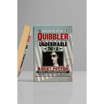 Gifi Harry Potter Quibler Kitap Görünümlü Dekoratif Kutu Orta