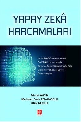 Yapay Zeka Harcamaları