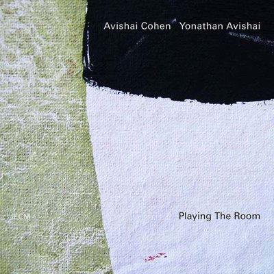 Avishai Cohen Yonathan Avishai Playing The Room Plak