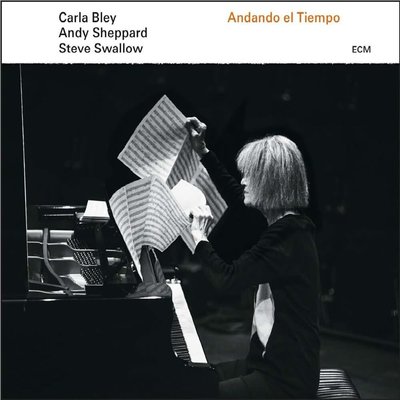 Carla Bley & Andy Sheppard & Steve Swallow Andanda El Tiempo Plak