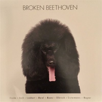 Çeşitli Sanatçılar Broken Beethoven Plak