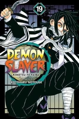 Demon Slayer: Kimetsu no Yaiba 19: Volume 19