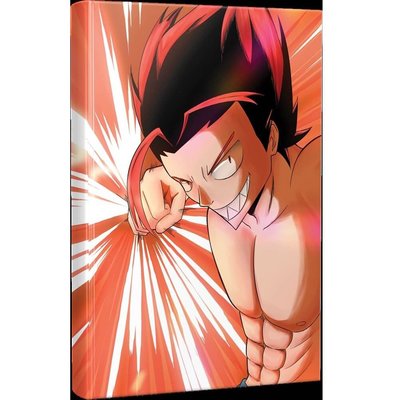 Punch Anime-Manga Planlama Defteri