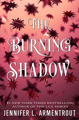 The Burning Shadow (Origin Series Book 2)