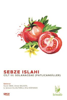 Sebze Islahı Cilt 3 - Patlıcangiller