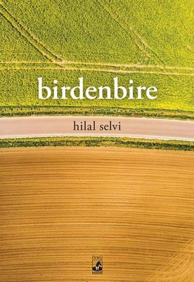 Birdenbire