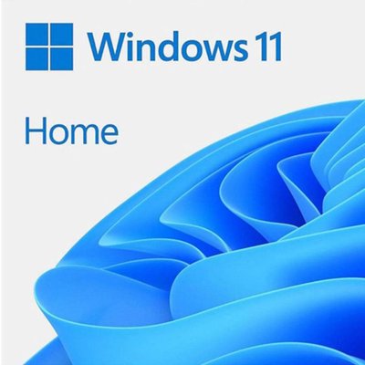 Microsoft Win 11 Home ESD TR