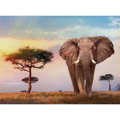 Clementoni African Sunset 500 Parça High Quality Collection Puzzle 35096