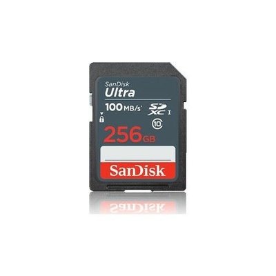 SanDisk Ultra SDSDUNR-256G-GN3IN Class 10 UHS-I U1 256 GB Hafıza Kartı