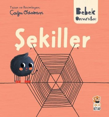 Şekiller 1 - Bebek Üniversitesi
