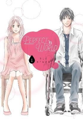 Perfect World Vol. 1