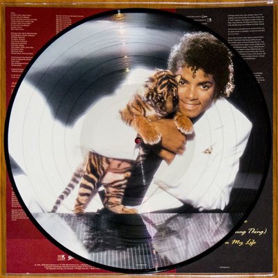 Michael Jackson Thriller (Picture Disc) Plak | D&R