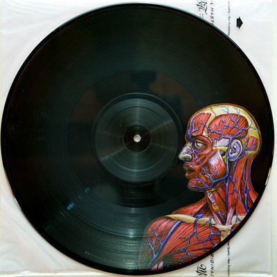 Tool Lateralus Plak