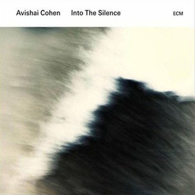 Avishai Cohen Into The Silence Plak