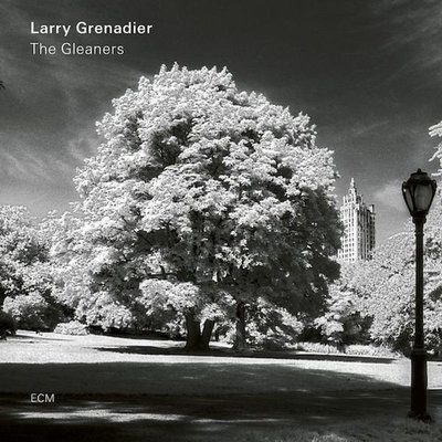 Larry Grenadier The Gleaners Plak