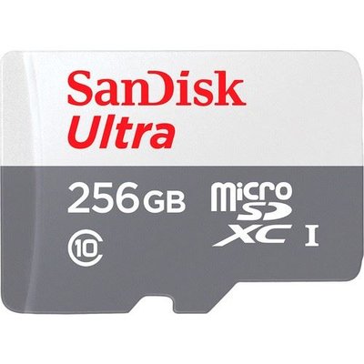 SanDisk Ultra SDSQUNR-256G-GN3MN Class 10 UHS-I 256 GB Micro SD Kart