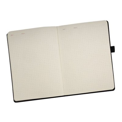 Moleskine Dotted Grid Notebook 240 Page Large Black
