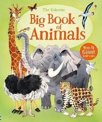 Big Book of Animals