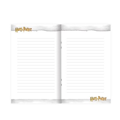 Harry Potter 14x20 80 Yaprak Kilitli Hatıra Defteri
