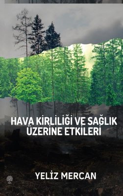 Hava Kirliliği ve Sağlık Üzerine Etkileri