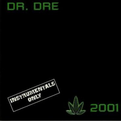 DR. DRE 2001 (instrumental/Reissue Plak