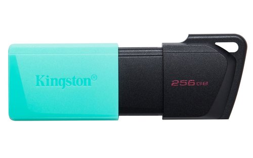 Kingston 256 GB DataTraveler Exodia DTXM/256 USB Bellek