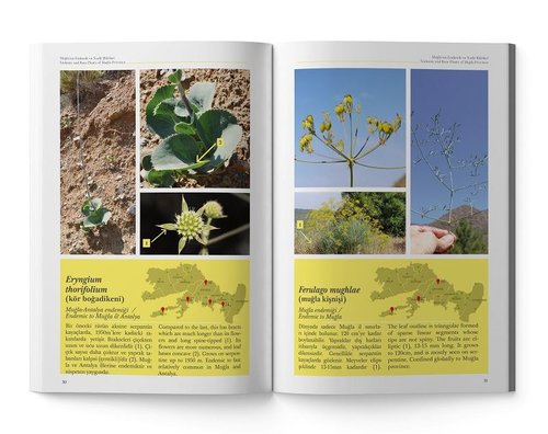 Muğla'nın Endemik ve Nadir Bitkileri