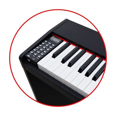Jwin SDP-88 Tuş Hassasiyetli 88 Tuşlu Dijital Piyano(Siyah)