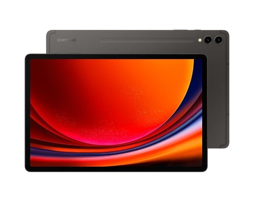 Samsung Galaxy Tab S9 Plus Wi-Fi SM-X810 Gri 256 GB 12.4" Tablet