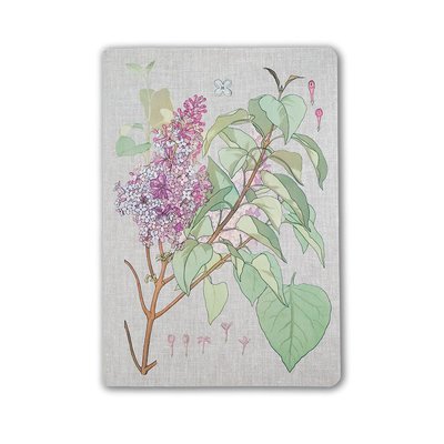Muus Sewing Plante Lilac 16x23 Terzi Dikiş 64 Syf Çizgili Butik Defter