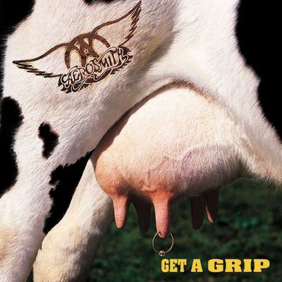 Aerosmith Get A Grip Plak