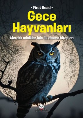 Gece Hayvanları - Meraklı Minikler İçin İlk Okuma Kitapları