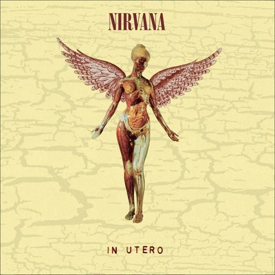 Nirvana In Utero (Super Deluxe) Plak