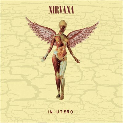 Nirvana In Utero (30th Anniversary - Limited Edition) Plak