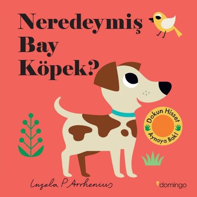 Neredeymiş Bay Köpek? Dokun Hisset Aynaya Bak!