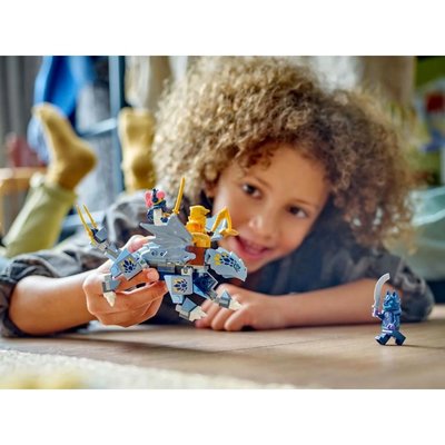 Lego Ninjago Young Dragon Riyu 71810 | D&R
