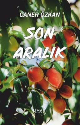 Son Aralık