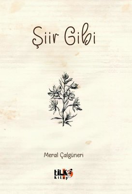 Şiir Gibi