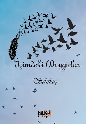 İçimdeki Duygular