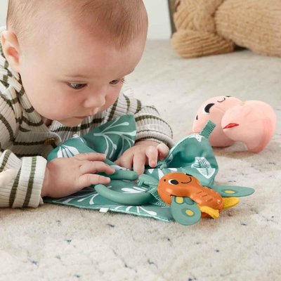 Fisher-Price Duyuları Harekete Geçiren Oyun Seti