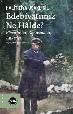 Edebiyatımız Ne Halde? Röportajlar Konuşmalar Anketler