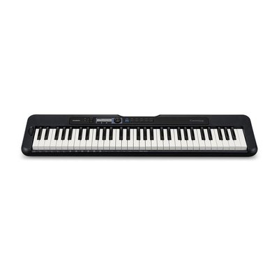 Casio CT-S300 61 Hassasiyetli Tuşlu-5 Oktav Org (Adaptör Hediyeli)