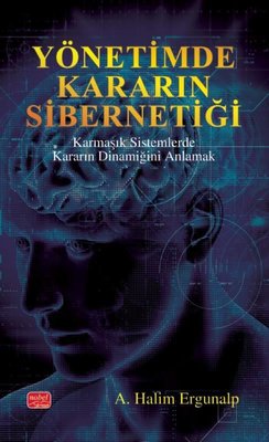 Yönetimde Kararın Sibernetiği - Karmaşık Sistemlerde Kararın Dinamiğini Anlamak