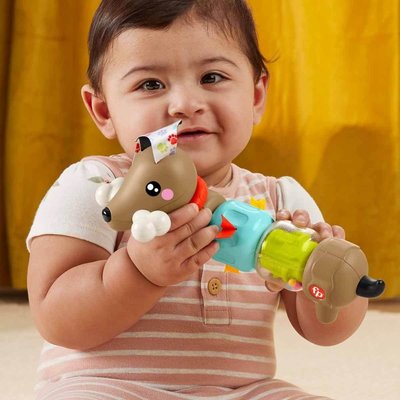 Fisher Price Köpekçikle Eğlenceli Aktiviteler HTW91 