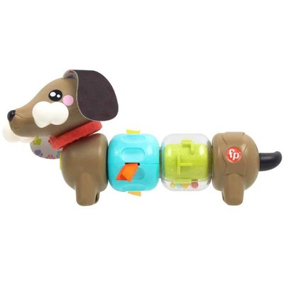 Fisher Price Köpekçikle Eğlenceli Aktiviteler HTW91 