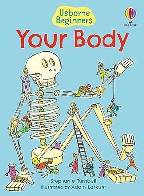 Your Body (Beginners)