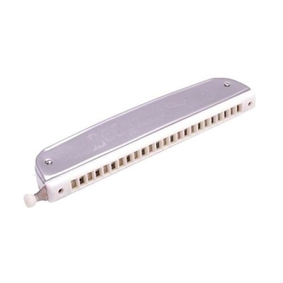 Bee DF1015 Harmonica / 24 Delikli Pompalı Mızıka